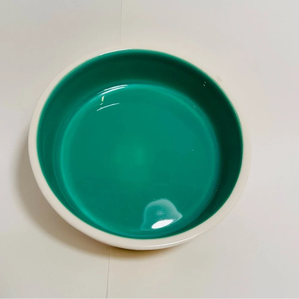 Rae Dunn Gulp Dog/Cat Bowl